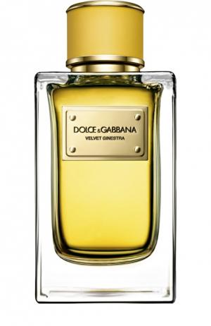 Парфюмерная вода Velvet Collection Ginestra Dolce & Gabbana. Цвет: бесцветный