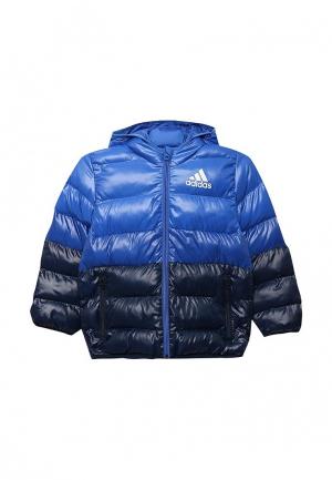 Куртка утепленная adidas. Цвет: синий